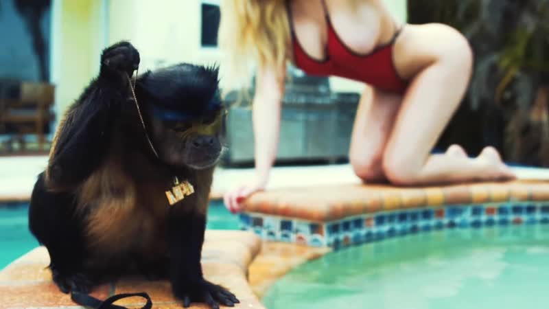 Peewee longway “jumanji “ (wshh exclusive official music video)