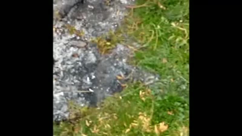 Quran porn video – Burning a hateful quran / @3kaaf