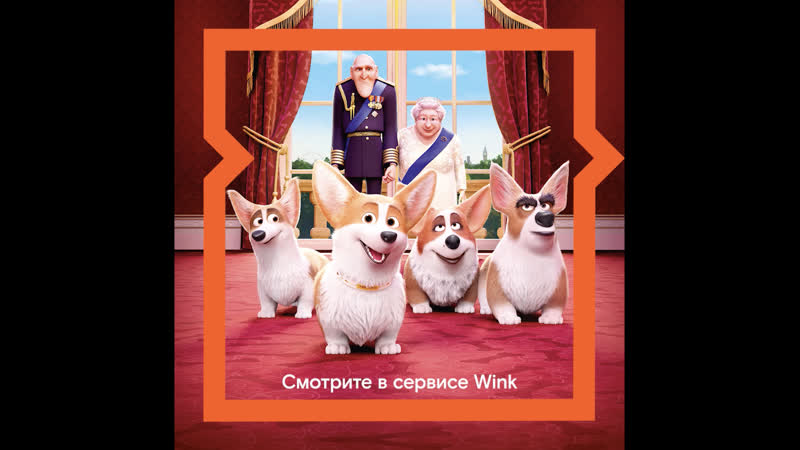 Смотрите королевский корги на wink