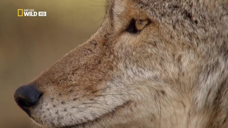 Национальные парки америки 2 я серия (йосемити) hd