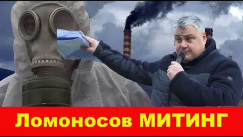 Ломоносов митинг в ломоносове 12 01 2020