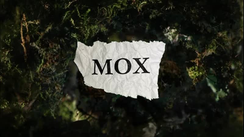 Oxxxymiron porn video – Oxxxymiron мох (2021)