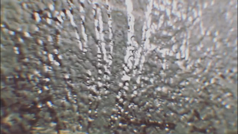 Eterno versace by gardenia orchidea