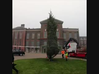 Watch the 30ft christmas tree being installed and decorated outside kensingtonpalace this christmas at kensington, meet victoria