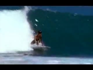 Kelly slater король сёрфинга