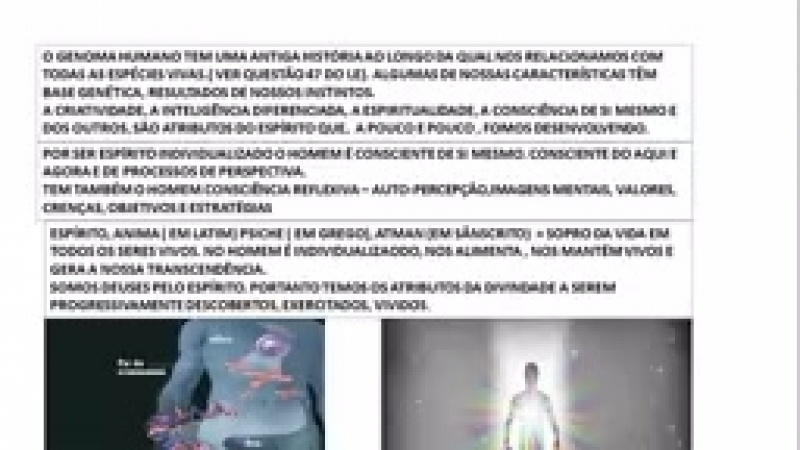 A intervenção do cristo na marcha da humanidade palestra do prof césar reis (rj)