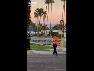 Harry llevando donas y café a sus compañeros de dwd ️