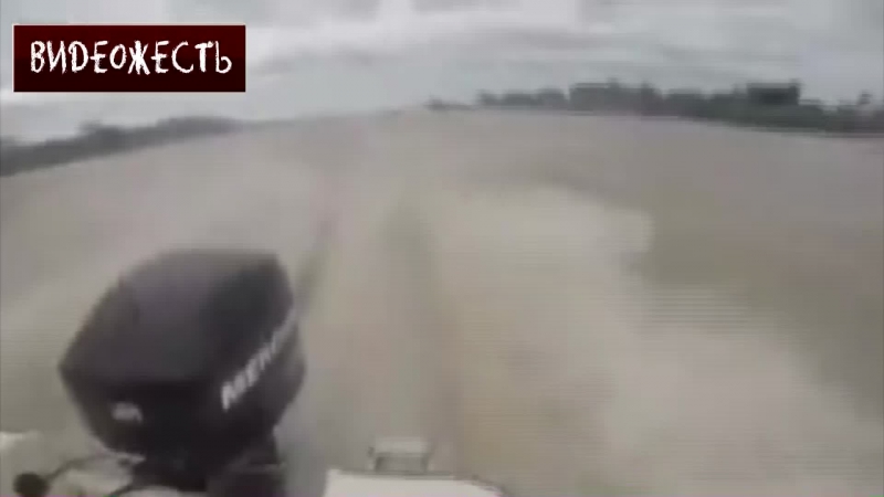 Обосрались, наверное © видеожесть