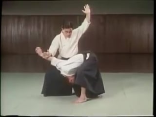 Daito ryu aiki jujutsu (soden mokuroku) from hizsa takuma sensei