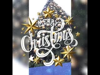 Vido video 1608796720087 mp4