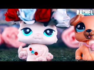 Lps распакоа #9~новая стоячка~(совместно с kiwi)~rachel