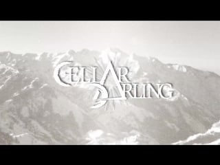 Cellar darling the hermit (official lyric video)