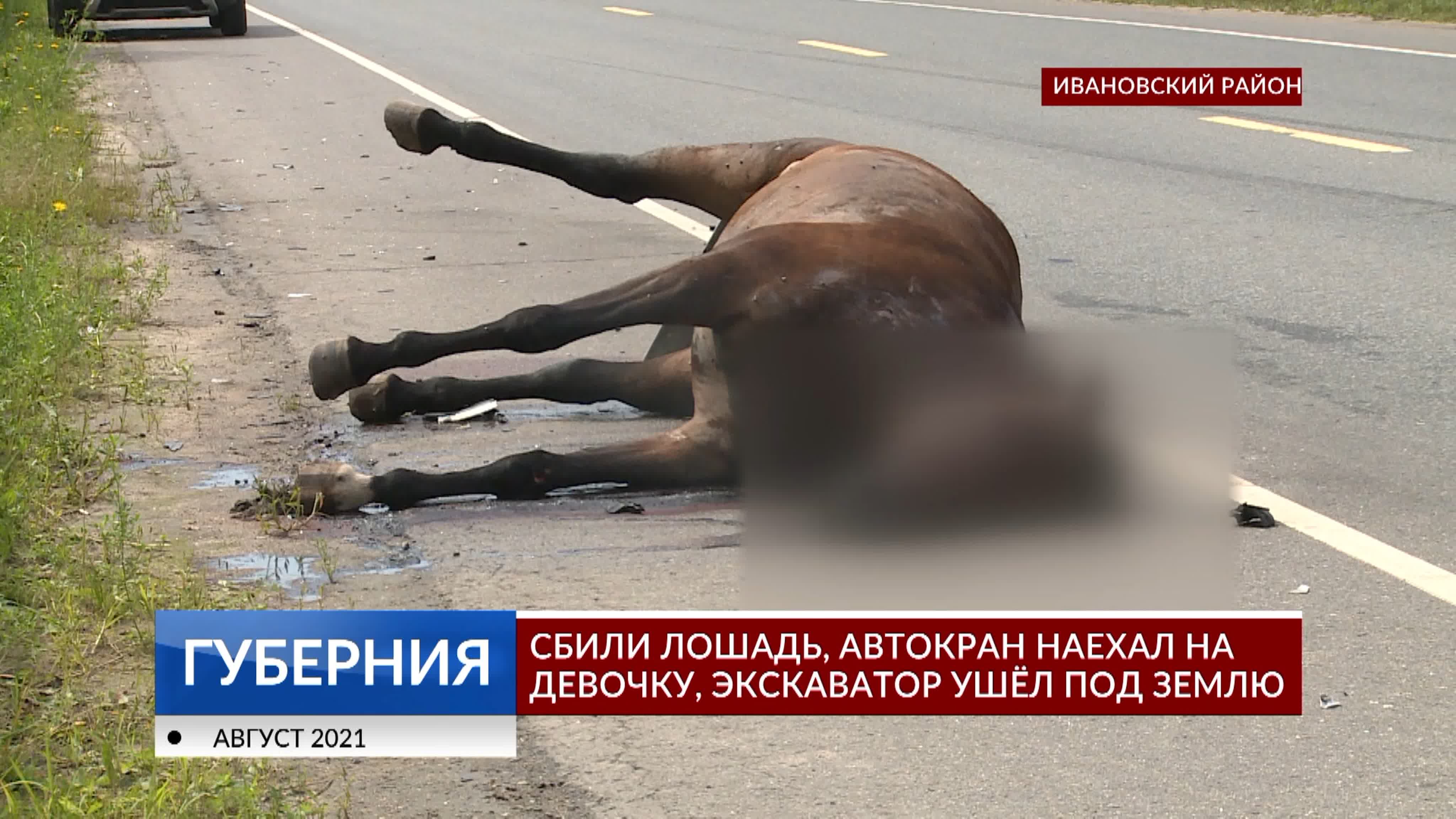 мужик трахает лошадь Сбили лошадь, автокран наехал на девочку, экскаватор ушёл под землю watch  online