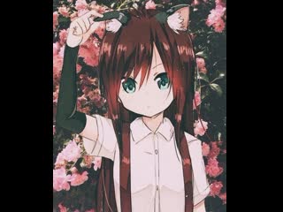 Копим на вебку