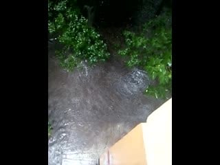 Trim 20200711 122352 mp4