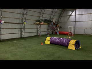 Метис франки и лёша 10 12 2019