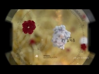 Jeunesse zen bodi коррекция веса