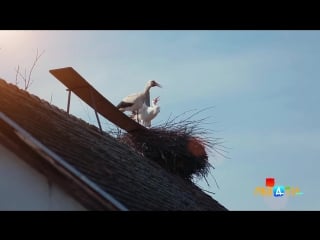 Klepetan malena meet croatia most famous couple