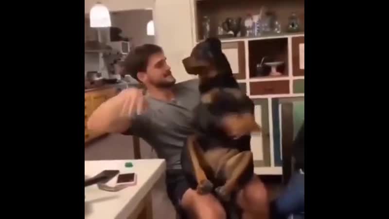 Whеn yоu'rе happy and yоu knоw it and yоu rеally wanna shоw it wavе yоur paws!