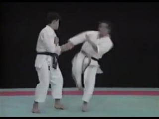 Seiji nishimura best karate kick techniques