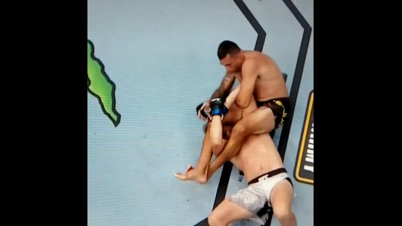 Фабрисио вердум сабмитит александра густафссона