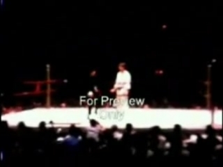 Bruce lee madison square garden footage