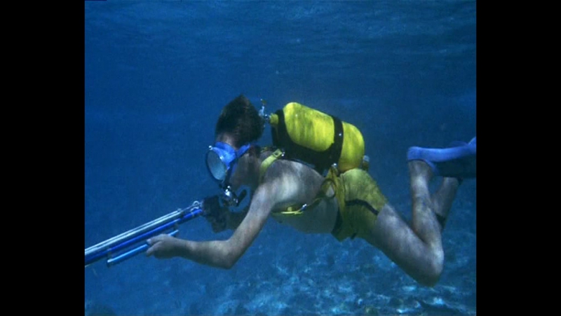 Флиппер (1963) (flipper)