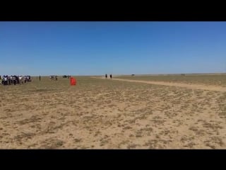 Коктогай тай жарыс