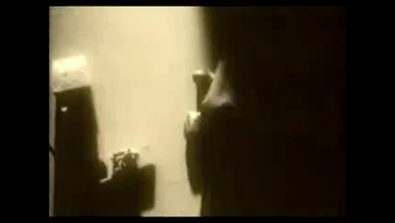 Врачеватель архиепископ лука