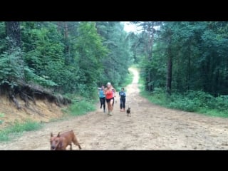 Тренироа токсово 09 07 2016