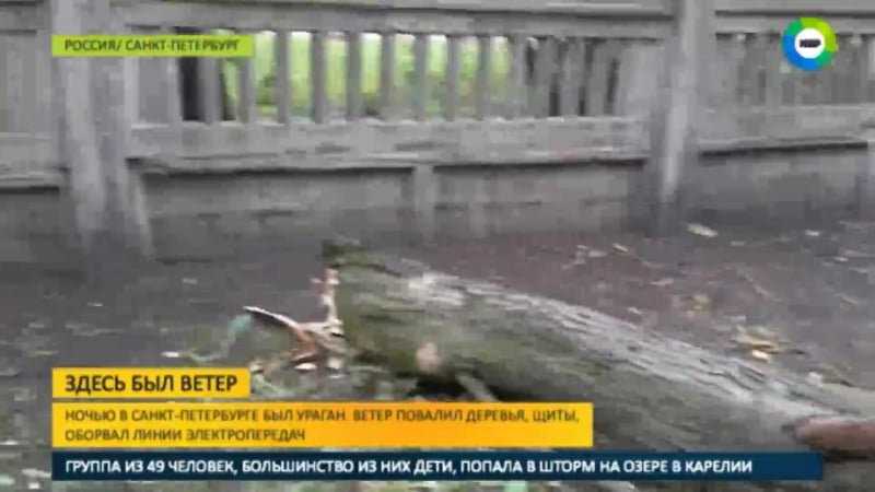 Поваленные деревья и сорванная лепнина петербург пережил ураган