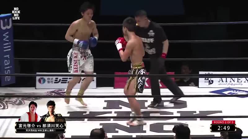 Tenshin nasukawa highlights