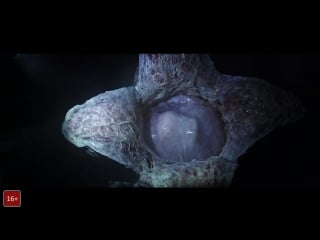 Facehugger to alien covenant / лицехват в фильме чужой завет