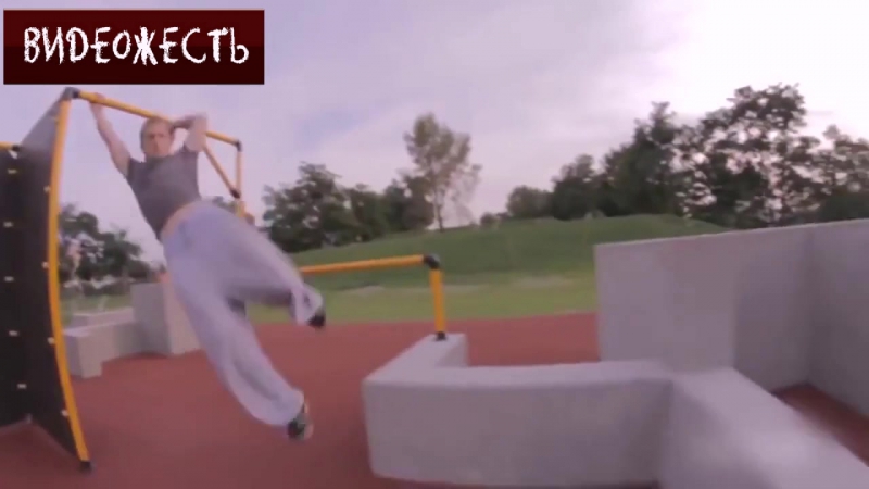 Паркур для петухов и кур © видеожесть