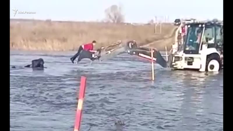 Смертельный номер в татарстане трактор утонул на мосту!