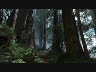 Эндора дождь в лесу / endor forest rain