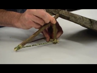 Ловушка для мелких грызунов #впбп #zhivoy63 #jivoy63