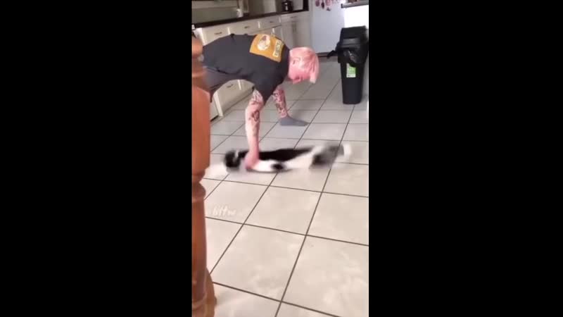 Котя улетел