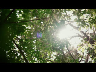 Работника тюремной психушки лучше сюда не попадать