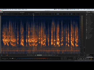 Groove3 izotope rx 5 explained