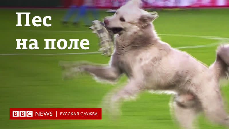 Молодые прервала футбольный матч в боливии