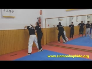Hapkido policial (hkdp) diciembre 2016