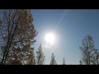 Vid 20201010 114906 mp4