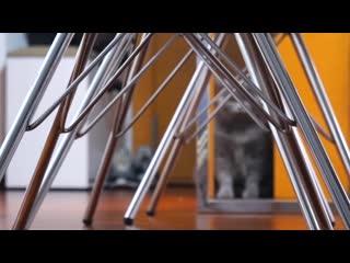 [katy lifevlog] vlog остались одни!