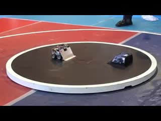 Japanese sumo robot in action