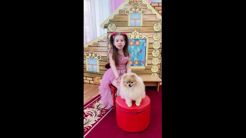 «купили мне щенка»