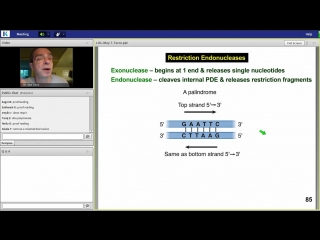 3rd lecture kaplan step 1 ca biochemistry medical genetics turco jan 8, 2014