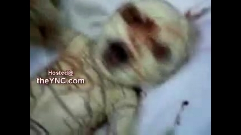 Рождение ребенка рептилии