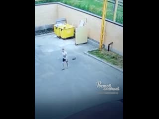 Быдлан обычный