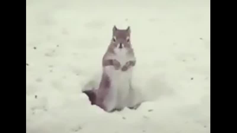 Утро жду маршрутку